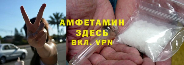 гидра Арсеньев