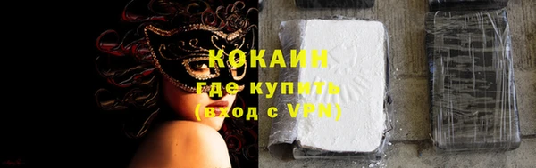 шишки Аркадак