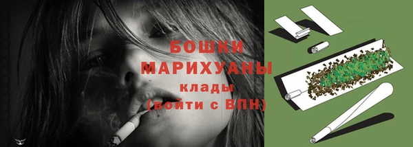шишки Аркадак