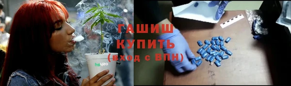 шишки Аркадак