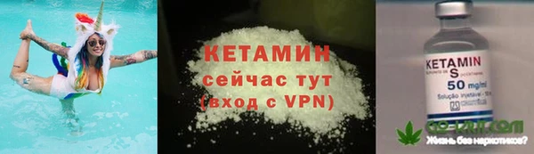 гидра Арсеньев