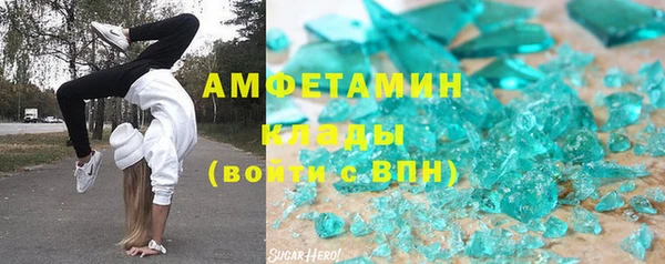 гидра Арсеньев
