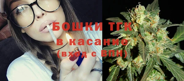шишки Аркадак