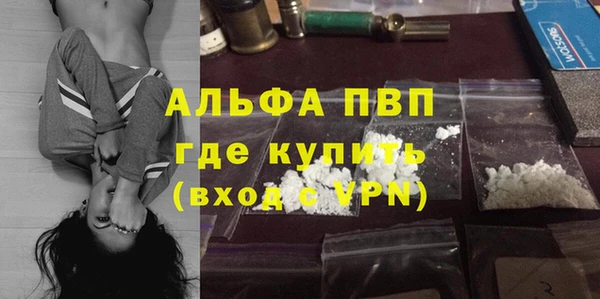 гидра Арсеньев