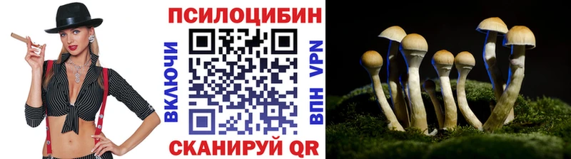 купить наркотик  Салехард  Псилоцибиновые грибы Psilocybe 