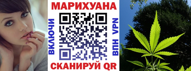 Каннабис гибрид Салехард